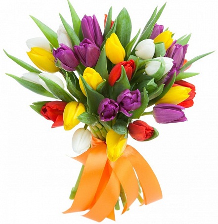 35 разноцветных тюльпанов - Фото 1
