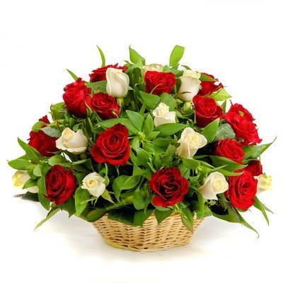 25 красных и белых роз в корзине - Фото 1