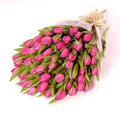 51 розовый тюльпан - Фото 1