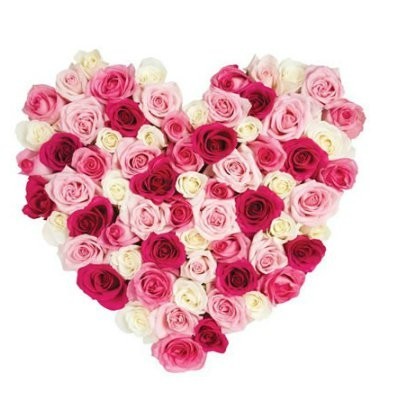 Сердце из 75 разноцветных роз - Фото 1