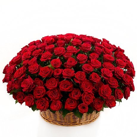 151 красная роза в корзине - Фото 1