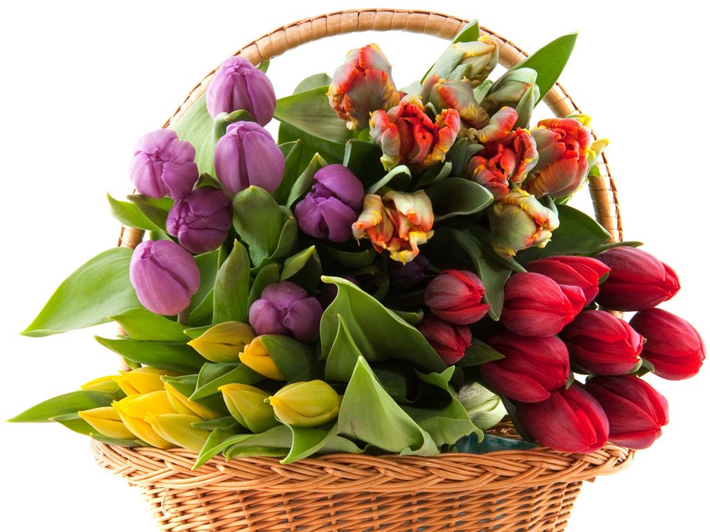 как выбрать цветы на 8 марта в москве