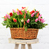 Букет тюльпанов в корзине Флоренция - Фото 2