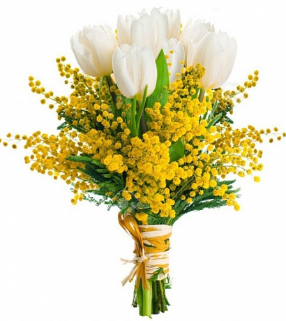 Белые тюльпаны с мимозой - Фото 1