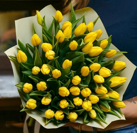 51 желтый тюльпан - Фото 1