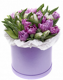 25 пионовидных тюльпанов в малой шляпной коробке