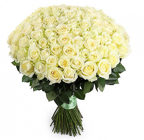 101 белая высокая элитная роза - Фото 1
