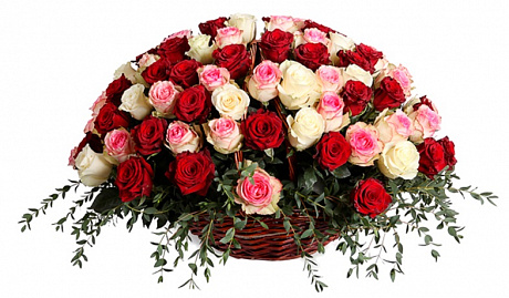 105 роз Эквадор в корзине - Фото 1