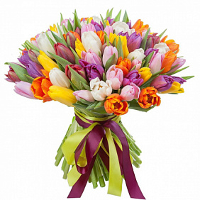 75 разноцветных тюльпанов