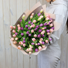 101 розово-фиолетовый тюльпан