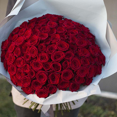 101 красная классическая роза - Фото 1