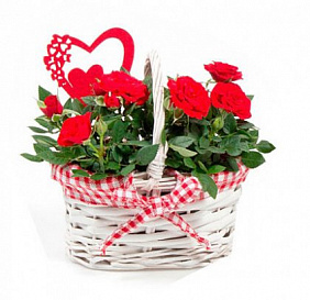 Цветочная корзинка «Романтика каждый день»