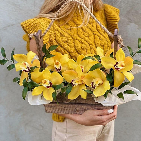 Букет желтых орхидей в кашпо Летний день - Фото 1