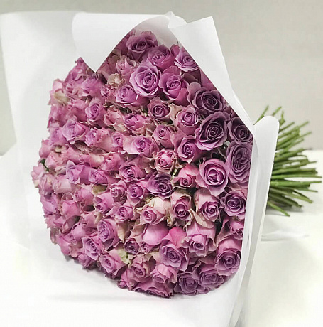 101 фиолетовая роза Кения 40см - Фото 1