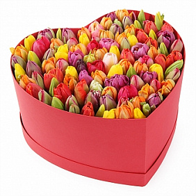 85 разноцветных тюльпанов в коробке сердцем