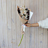 Ветка белой орхидеи  - Фото 3