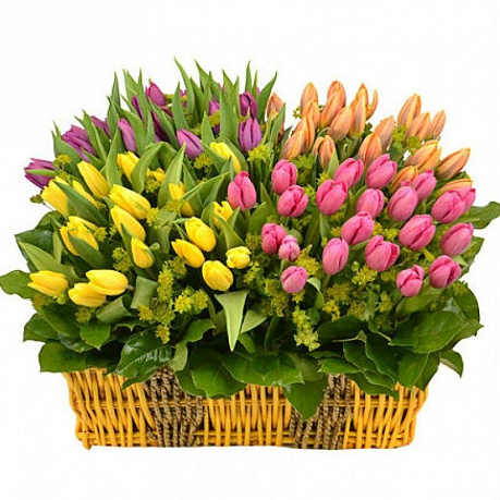 Корзина разноцветных тюльпанов Фонвьей - Фото 1
