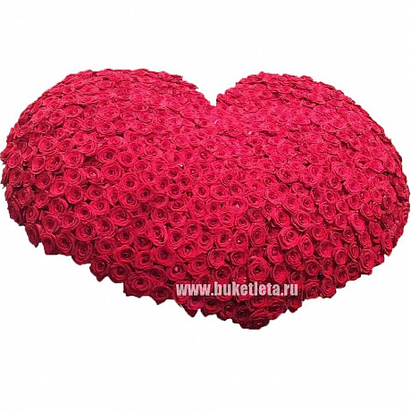 Сердце из красной  501 розы - Фото 1