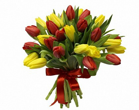 25 красно-желтых тюльпанов