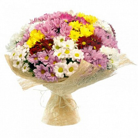 Красивый букет из 25 разноцветных хризантем