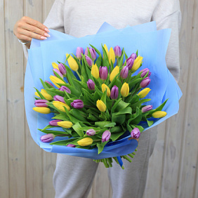 51 жёлто-фиолетовый тюльпан