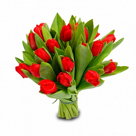 Букет из 19 красных тюльпанов