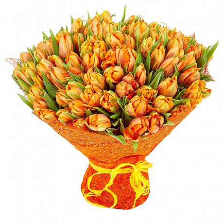 Букет из 101 оранжевого пионовидного тюльпана  - Фото 1