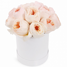 11 пионовидных розы Джульетта в малой шляпной коробке