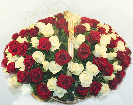 151 красно-белая роза в корзине - Фото 1