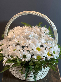 Хризантемы в корзине Прекрасное начало