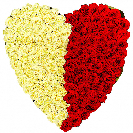 151 белая и красная роза сердцем - Фото 1
