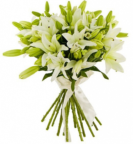 1 лилия цена цветы с доставкой в оренбурге с открыткой