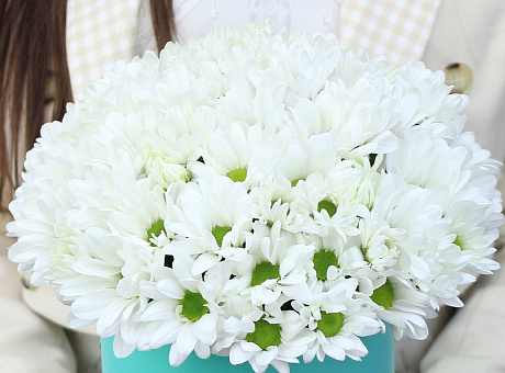 Белые хризантемы шляпной коробке - Фото 2