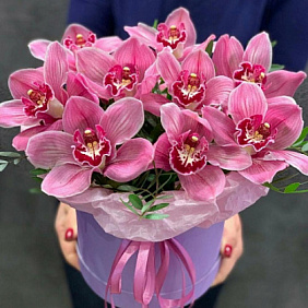 Розовые орхидеи в шляпной коробке