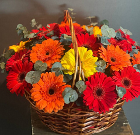 21 гербера в корзине с зеленью