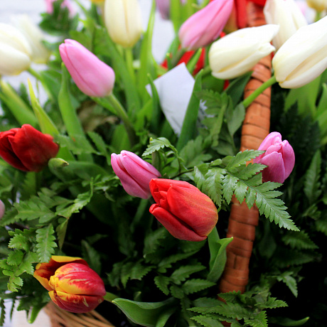 Букет тюльпанов в корзине Флоренция - Фото 3