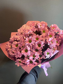 7 розовых кустовых хризантем