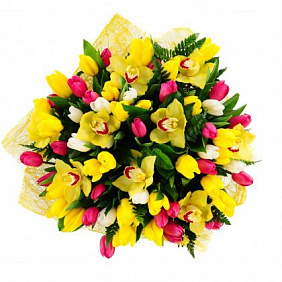 Букет тюльпаны и орхидеи "Санремо"