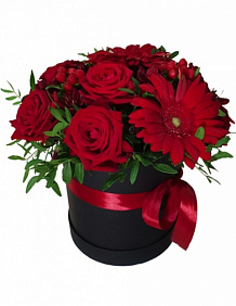Красные розы и герберы в черной бархатной коробке