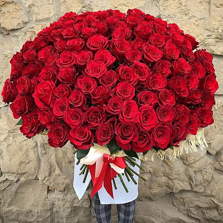 101 красная высокая элитная роза - Фото 1