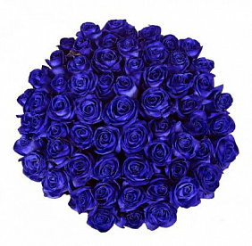 Букет синих роз "Лазурный берег"