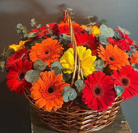 21 гербера в корзине с зеленью - Фото 1