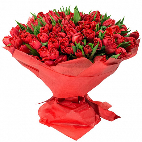Букет из 101 красного пионовидного тюльпана  - Фото 1
