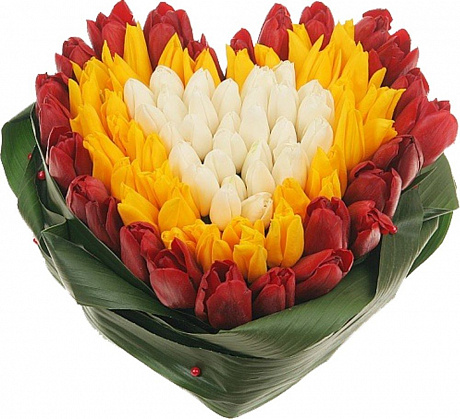 Сердце из тюльпанов - Фото 1