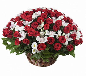Огромная корзина красных роз и орхидей