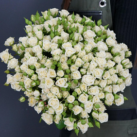 51 белая кустовая роза