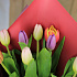 11 тюльпанов микс - Фото 2