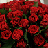 101 роза Эль Торро 40см - Фото 4