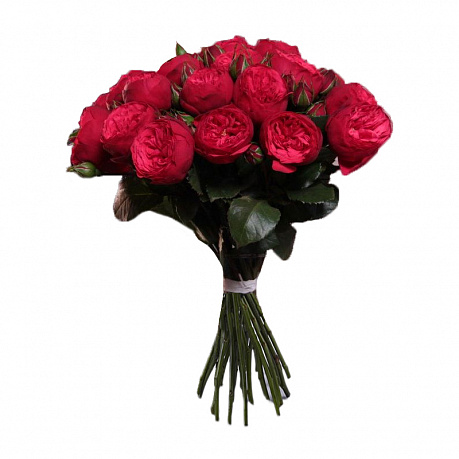 Букет из 19 пионовидных роз Ред Пиано - Фото 1