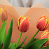 25 красно-жёлтых тюльпанов - Фото 2